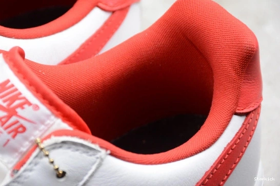 AIR 1 FO NIKE LOW FORCE FI AQ5107-100 FO 1228